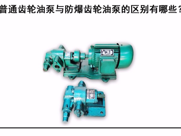 普通齒輪油泵與防爆齒輪油泵的區別有哪些？