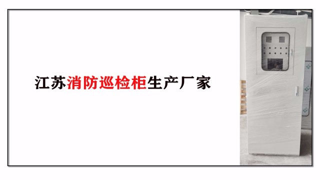 江蘇消防巡檢柜生產(chǎn)廠(chǎng)家