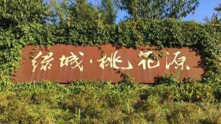 綠城桃花源甲方項目部排污泵控制柜配套案例