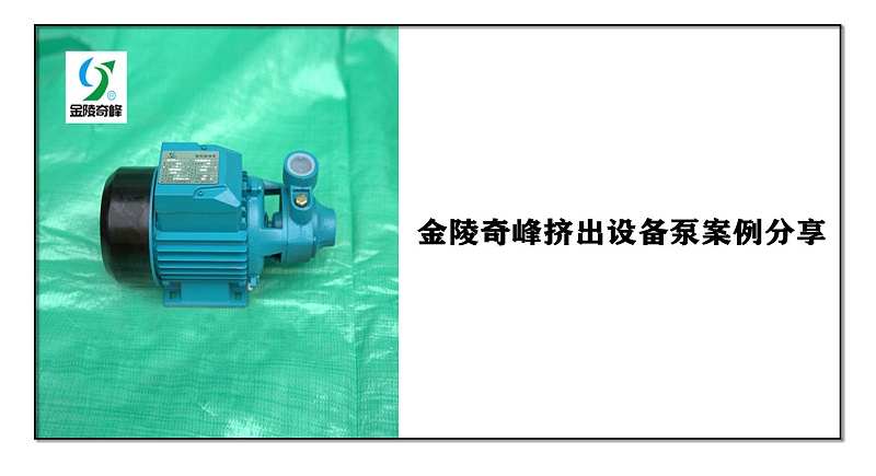 金陵奇峰擠出設備泵案例分享