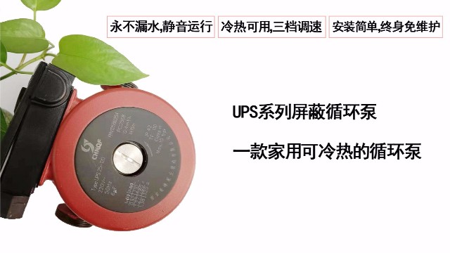 UPS系列屏蔽循環泵一款家用可冷熱的循環泵