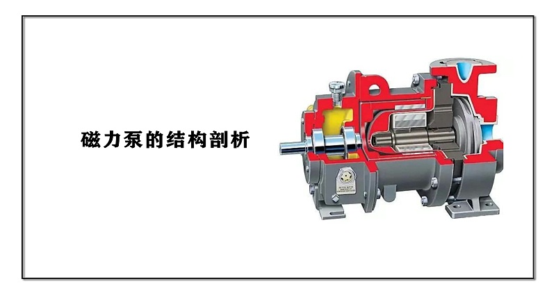 磁力泵的結構剖析