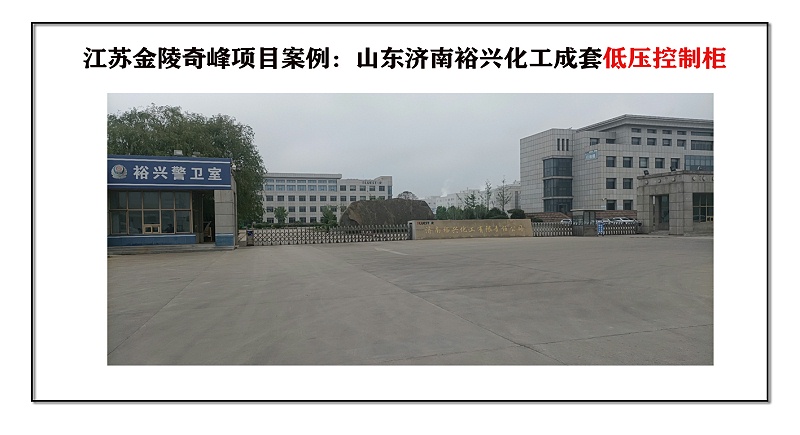 山東濟(jì)南裕興化工成套低壓控制柜