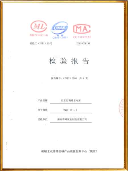 污水污物潛水電泵檢測報告