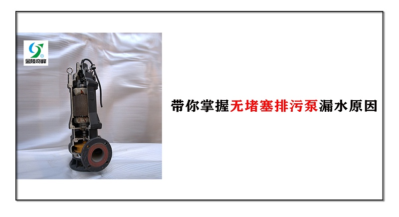 帶你掌握無堵塞排污泵漏水原因