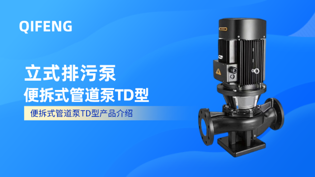 立式排污泵-便拆式管道泵TD型產品介紹